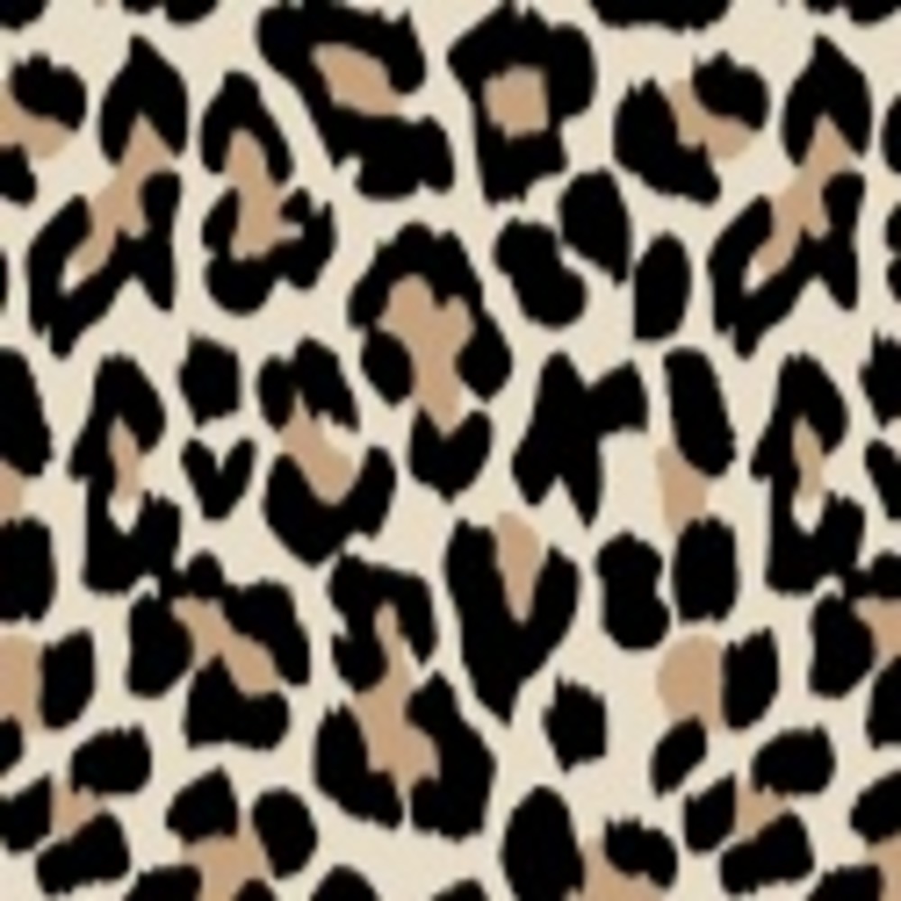 Meet your Posher, Abigail